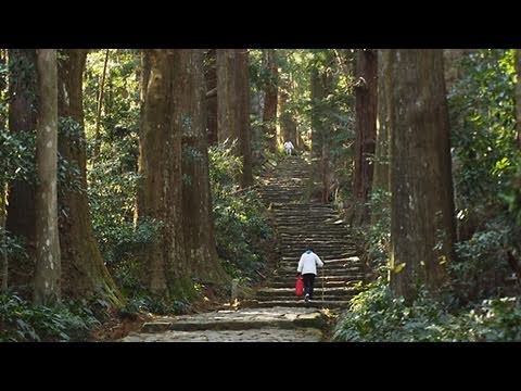 世界遺産 熊野古道 大門坂 World Heritage Kumano-Kodo Daimon-Saka
