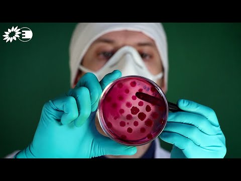 Reserveantibiotika schützen - Verschwendung in der Tiermast beenden