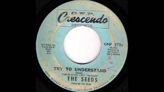 The Seeds - Try to understand