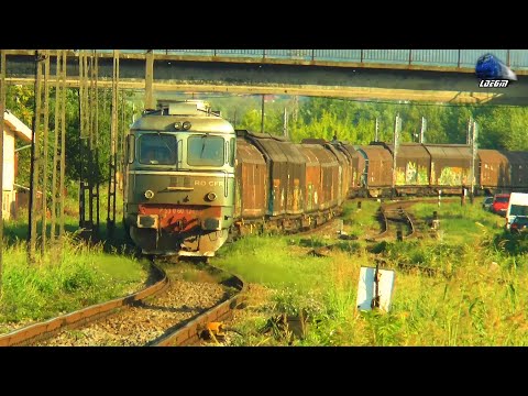 Trenuri de Călători & Marfă/Passenger & Freight Trains in Oradea - 09 August 2021