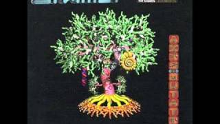 The Shamen  - &#39;&#39;Moment&#39;&#39;.