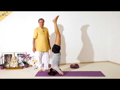 Kopfstand mit Unterarmen auf dem Boden - Yoga Asana Lexikon