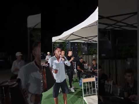 Georgica stangaciu live