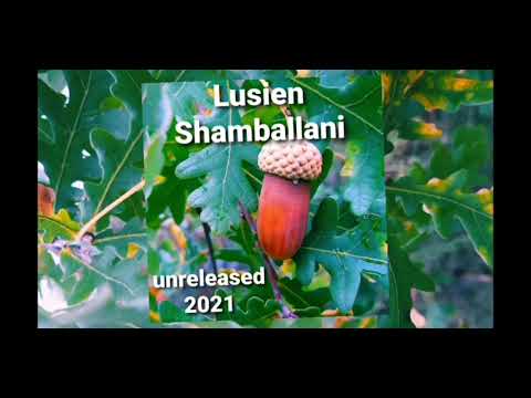 Lucien Shamballani track 31