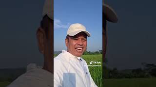 Download lagu Telpon Pak dedi mulyadi#telpon #dedimulyadi #shanumlutfi mp3