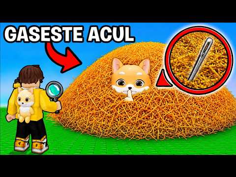 Gaseste Acul Pentru 100,000 ROBUX...??
