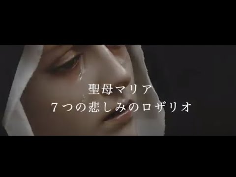 シカゴの悲しみの聖母大聖堂 - 定義