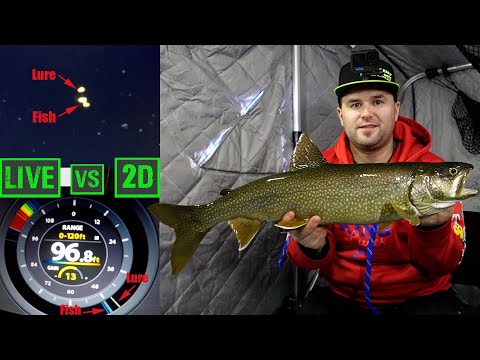 Live vs 2D Sonar for Lake Trout (Lowrance Active Target vs Humminbird Helix 7)
