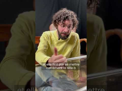 🎯 Quantum SPIN explained with... a SPINNING TOP?!