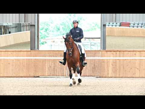 Leg-yield made easy with dressage rider and trainer Matt Hicks