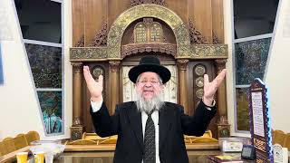 הרב יצחק דיין | אמור 