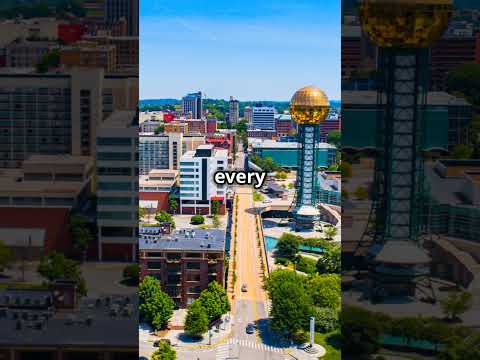 Global Reach, Local Precision: Expert Process Serving Across Borders