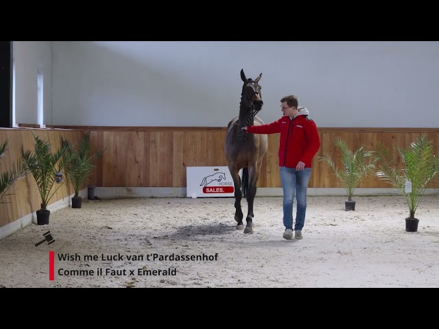 Wish me Luck van't Pardassenhof