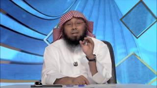 صورة المحاضرة 14 - العقيدة - المستوى الثالث - د. أبو زيد مكي - حقيقة الإيمان عند أهل السنة والجماعة