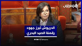 "صفر ورقة ومراقبة القوارب المرخصة".. الدريوش تبرز جهود رقمنة قطاع الصيد البحري thumbnail