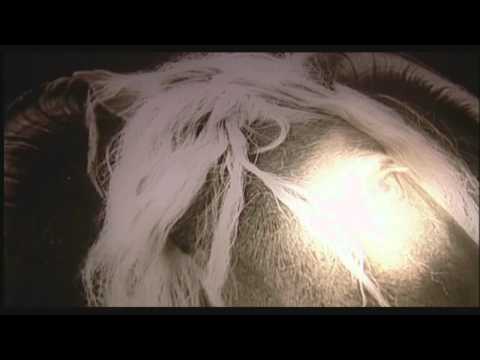 SINS OF SOUND - TE GUSTA (Official Video)