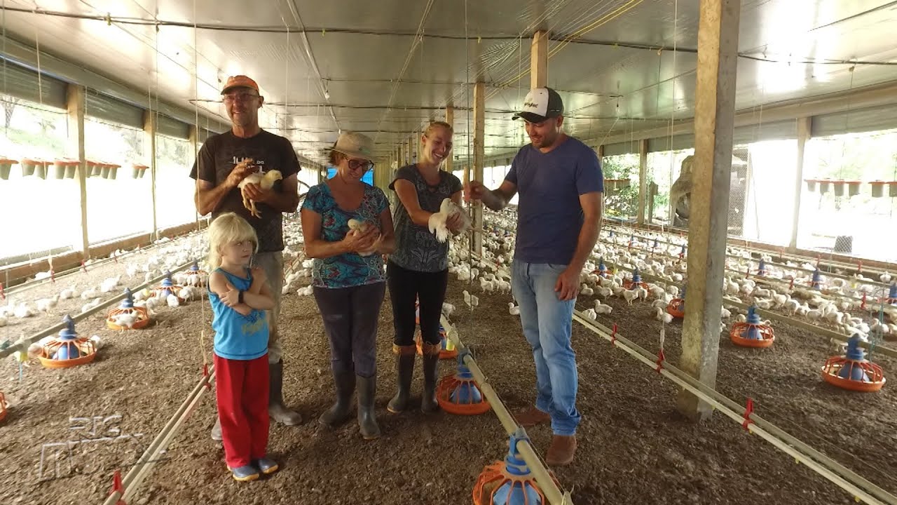 Família de Londrina aposta na produção de soja e aves