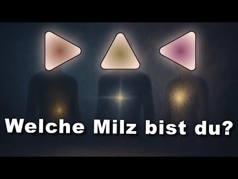Die 3 Arten der Milz | Human Design (Manifestierend, Generierend, Projizierend)
