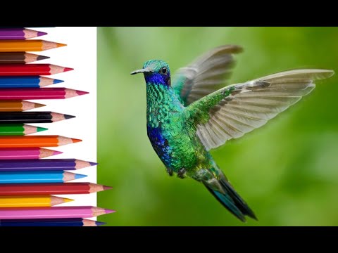 download lagu mp3 mp4 Color My World Coloring, download lagu Color My World Coloring gratis, unduh video klip Color My World Coloring