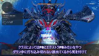 【PSO2NGS】ルーサーの倒し方を復習しつつ考察とか#pso2ngs #ゲーム実況