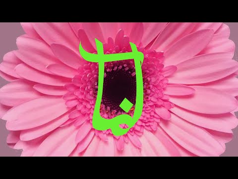 Die Orsons feat. Bushido - Undenkbar