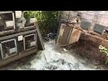 Using Lime to Dry Up Muddy Areas and Control Odors