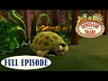 Dinotren La Tortuga Del Triásico El Hermanito De Tanky