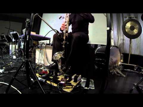 Sarah Nemtsov: "implicated amplification" (2014)