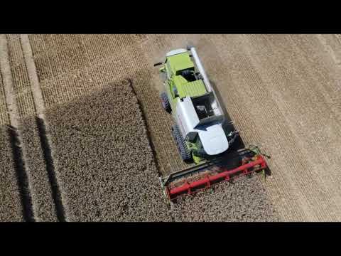Claas Lexion Terra Trac 670 im Einsatz 2020
