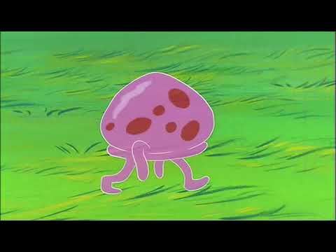 Jellyfish jam 1