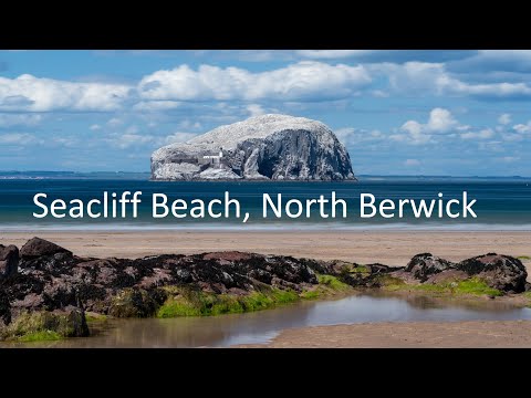 Seacliff Beach, North Berwick | East Lothian's best beach?