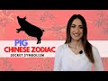 PIG Chinese Zodiac Sign Everything You Need To Know