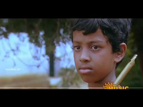 download lagu mp3 mp4 Aalolam Paadi, download lagu Aalolam Paadi gratis, unduh video klip Download Aalolam Paadi Mp3 dan Mp4 Viral Gratis