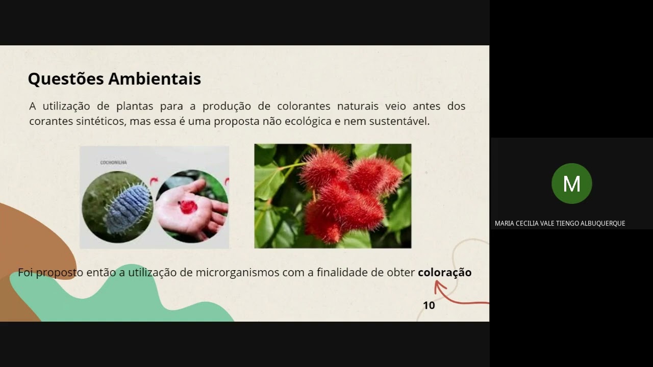 Produção de corantes por bactérias e fungos
