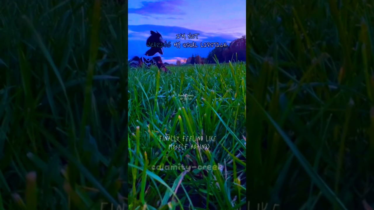 Washing Machine Heart 💔 || #therian #quadrobics #edit #memes #shorts #tiktok #fyp #cat #cringe