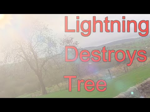 Lightning Destroys Tree. Camera Captures Life & Death Of a Tree Which Was Out Standing in it's Field
