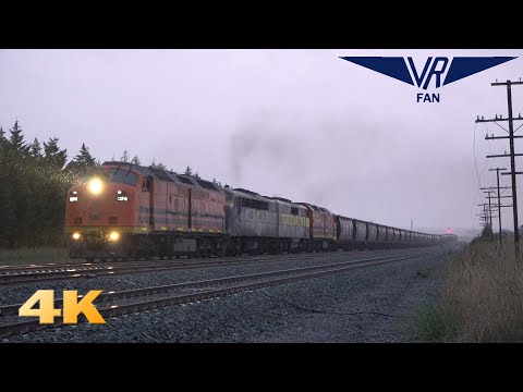Trains in the Rain on the 1 in 50: Australian Trains in 4K