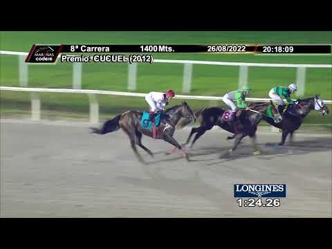 220826 c08 NEW HONOUR