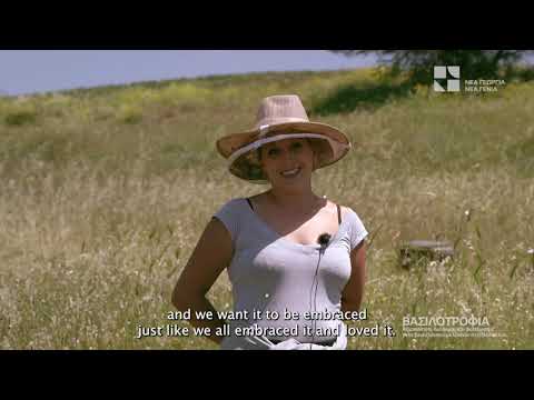 Queen Rearing: Save a Greek Bee