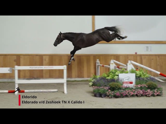 Eldorido