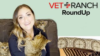 JOY BOMB! on this Week's Vet Ranch RoundUp! by Vet Ranch