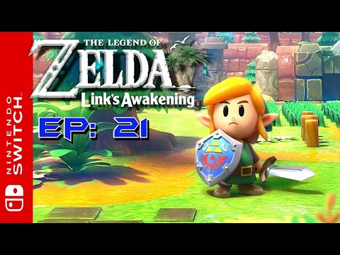 Legend of Zelda Links Awakening: Part 21 - Rise, Chicken