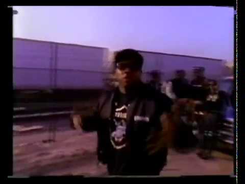 Ice T - Fly By (feat. Nat The Cat & Donald D)