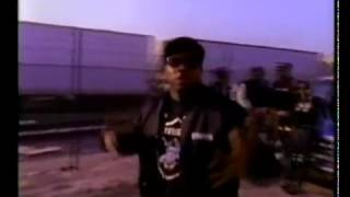 Ice T - Fly By (feat. Nat The Cat &amp; Donald D)