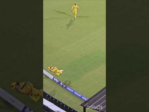 Dewald brevis🥶🤯 He couldn't save the six,but what an effort🔥🤯#csk #cricket #shorts #viral #trending