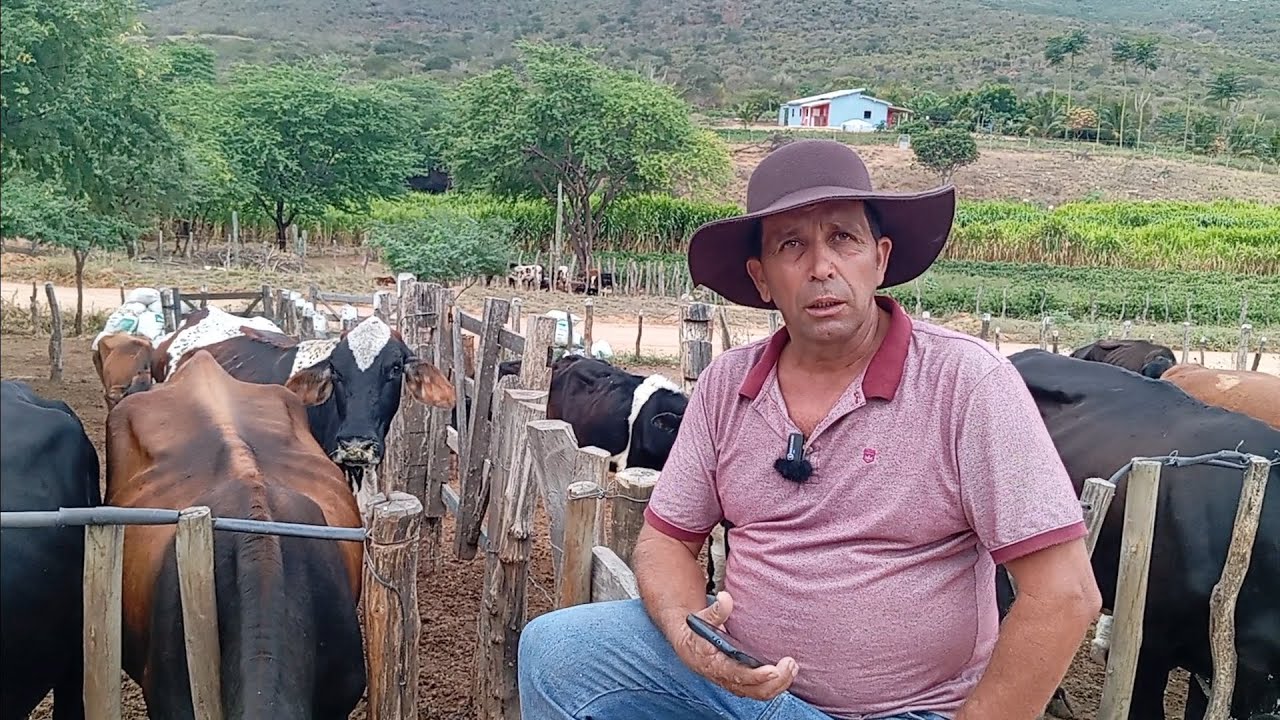 ELE COMEÇOU COM APENAS 3 VACAS E HOJE É O MAIOR PRODUTOR DE LEITE DO MUNICÍPIO