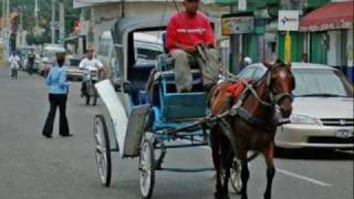 Wilson Toribio (Santiago en coche)