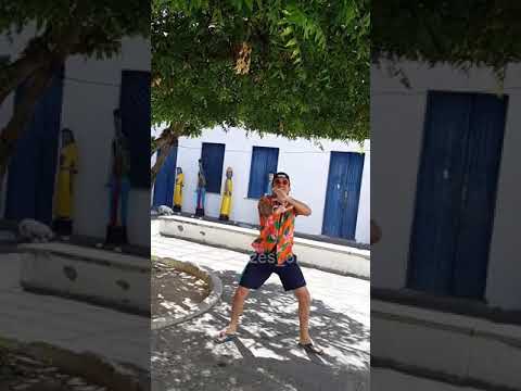 MC BRANKIN MR, SHECK E BREVE FEAT. DANFLIN - TOMA PORRADÃO - Coreografia