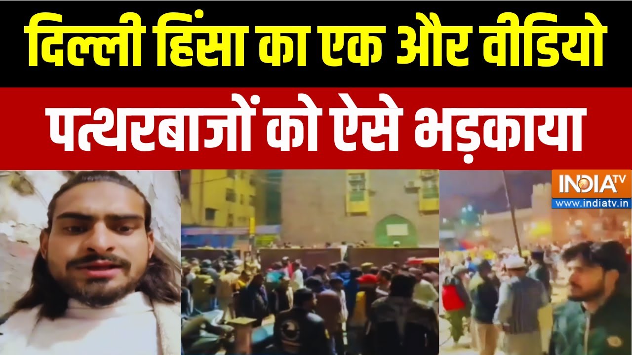 Delhi Turkman Gate Violence New Video: दिल्ली हिंसा का एक और वीडियो पत्थरबाज?