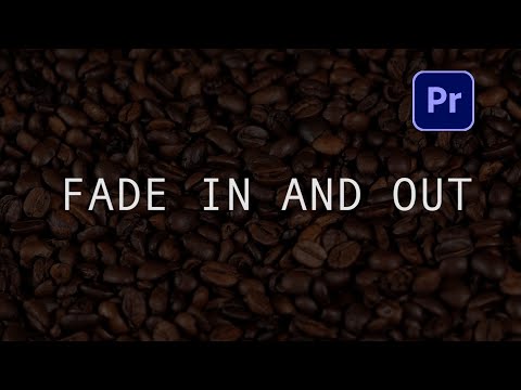 How to Fade In and Out A Video in Premiere Pro 2025